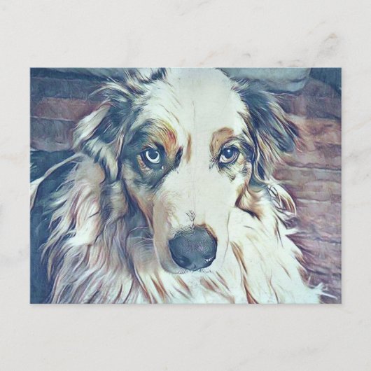 Australian Shepherd Digital Art Briefkaart (Voorkant)