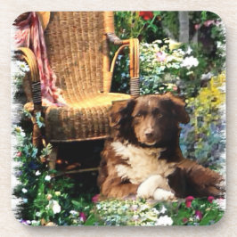 Australian Shepherd Dog Art Bier Onderzetter