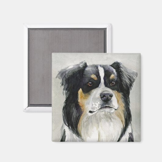 Australian Shepherd Dog Art Magnet (Voorkant / Achterkant)