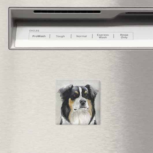 Australian Shepherd Dog Art Magnet (Insitu (Vaatwasser))