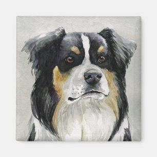 Australian Shepherd Dog Art Magnet