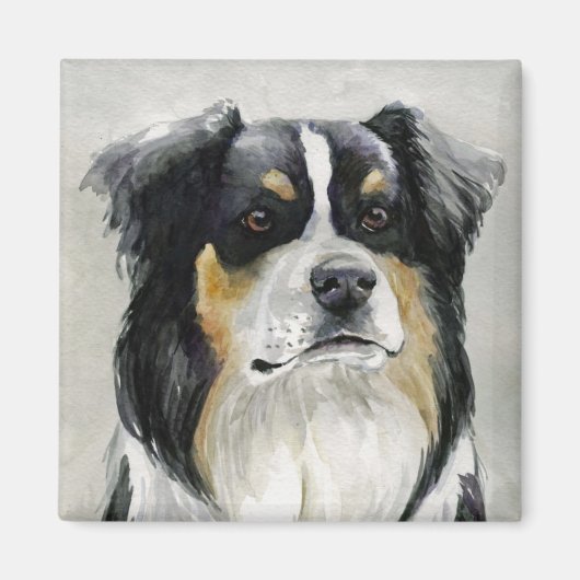 Australian Shepherd Dog Art Magnet (Voorkant)