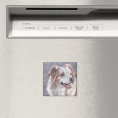 Australian Shepherd Dog Art Magnet (Insitu (Vaatwasser))