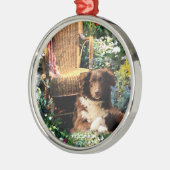 Australian Shepherd Dog Art Metalen Ornament (Links)