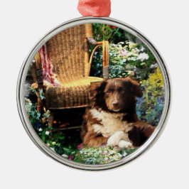 Australian Shepherd Dog Art Metalen Ornament