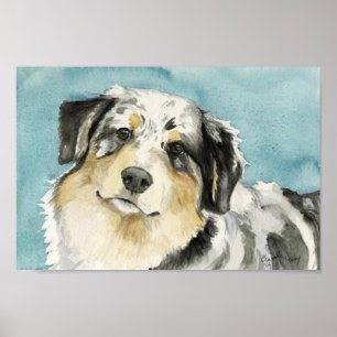 "Australian Shepherd" Dog Art Print