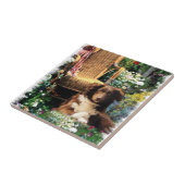 Australian Shepherd Dog Art Tegeltje (Zijkant)