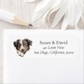 Australian Shepherd Dog Etiket (Insitu)