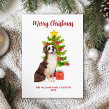 Australian Shepherd Dog Familie Kerstmis