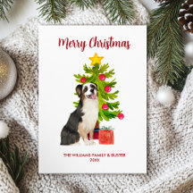 Australian Shepherd Dog Familie Kerstmis