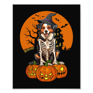 Australian Shepherd Dog Halloween Foto Afdruk