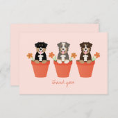 Australian Shepherd Dog in Flower Pot Bedankkaart (Voorkant / Achterkant)