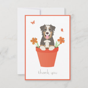 Australian Shepherd Dog in Flower Pot Bedankkaart