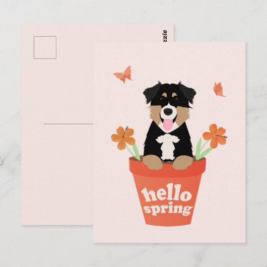 Australian Shepherd Dog in Flower Pot Briefkaart (Voorkant / Achterkant)