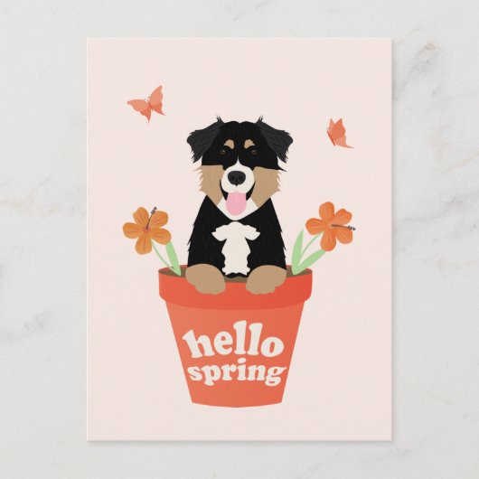 Australian Shepherd Dog in Flower Pot Briefkaart (Voorkant)