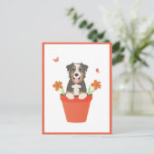 Australian Shepherd Dog in Flower Pot Briefkaart (Staand voorkant)