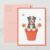 Australian Shepherd Dog in Flower Pot Briefkaart (Voorkant / Achterkant)
