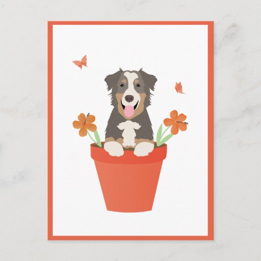 Australian Shepherd Dog in Flower Pot Briefkaart (Voorkant)