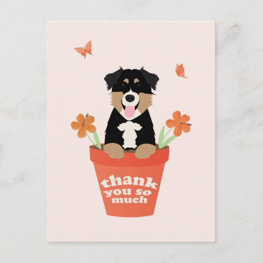 Australian Shepherd Dog in Flower Pot Dank u Briefkaart (Voorkant)