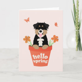 Australian Shepherd Dog in Flower Pot Kaart