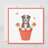 Australian Shepherd Dog in Flower Pot Kaart (Voorkant)
