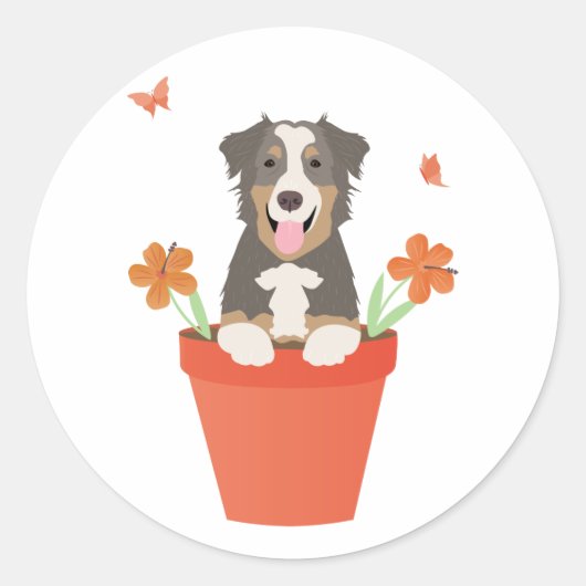 Australian Shepherd Dog in Flower Pot Ronde Sticker (Voorkant)