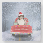 Australian Shepherd Dog in Sneeuwkerst Stenen Onderzetter (Voorkant)