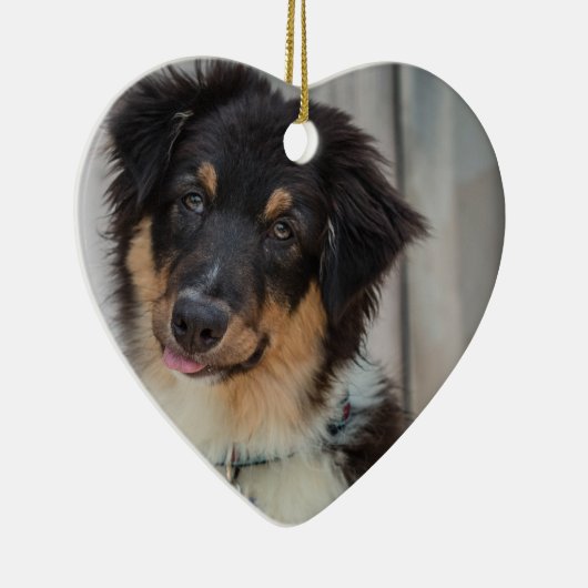 Australian Shepherd Dog Keramisch Ornament (Rechts)