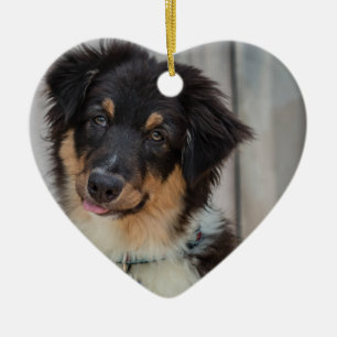 Australian Shepherd Dog Keramisch Ornament