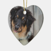 Australian Shepherd Dog Keramisch Ornament (Links)
