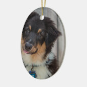 Australian Shepherd Dog Keramisch Ornament (Links)