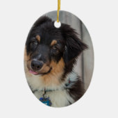 Australian Shepherd Dog Keramisch Ornament (Voorkant)