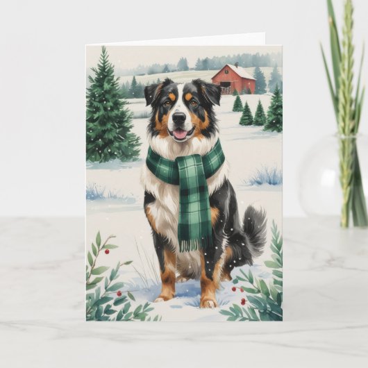 Australian Shepherd Dog Kerstgroet Kaart (Voorkant)