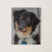 Australian Shepherd Dog Legpuzzel (Verticaal)