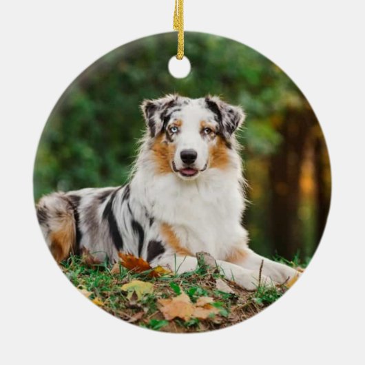 Australian Shepherd Dog Memorial Keramisch Ornament (Achterkant)