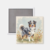 Australian Shepherd Dog Merle Long Tail Magneet (Voorkant / Achterkant)