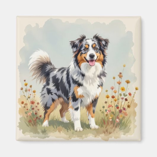 Australian Shepherd Dog Merle Long Tail Magneet (Voorkant)