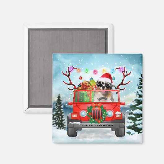 Australian Shepherd dog met kerstcadeaus Magneet (Voorkant / Achterkant)