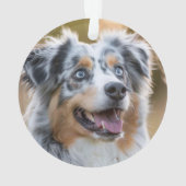 Australian Shepherd Dog met naam en foto Ornament (achterkant)