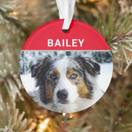 Australian Shepherd Dog met naam en foto Ornament (Boom)