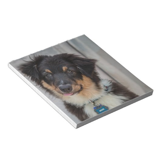 Australian Shepherd Dog Notitieblok (Schuin)