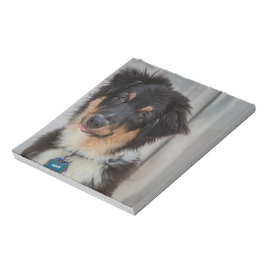 Australian Shepherd Dog Notitieblok (Linkerzijde)