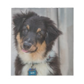 Australian Shepherd Dog Notitieblok (Voorkant)