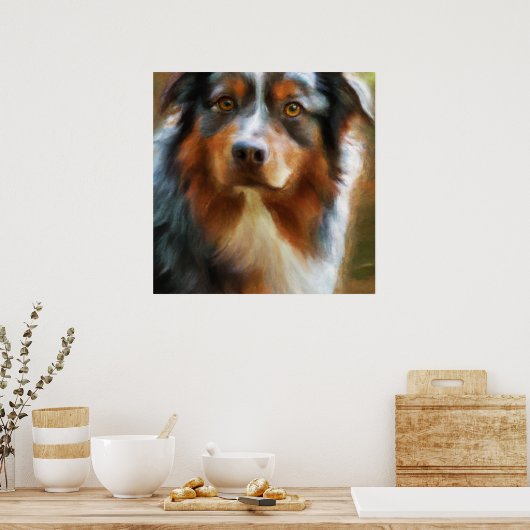 Australian Shepherd - Dog Portrait Poster (Keuken)