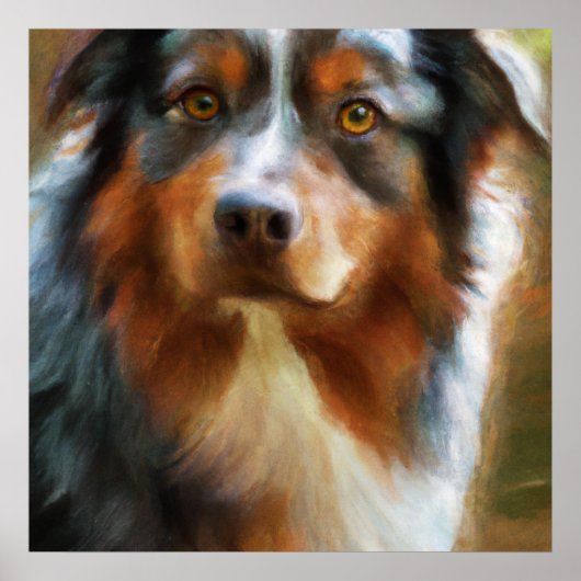 Australian Shepherd - Dog Portrait Poster (Voorkant)