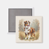 Australian Shepherd Dog Red Merle Aussie Magneet (Voorkant / Achterkant)