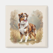 Australian Shepherd Dog Red Merle Aussie Magneet (Voorkant)
