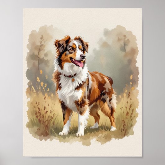 Australian Shepherd Dog Red Merle Aussie Poster (Voorkant)