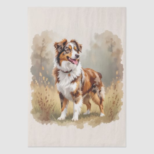 Australian Shepherd Dog Red Merle Aussie Tissuepapier (Voorkant)