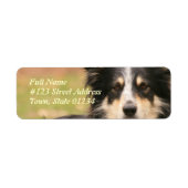 Australian Shepherd Dog Return Address Label (Voorkant)